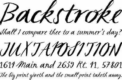 Calligraphy Alphabet French Font Sketch Writing Lettering