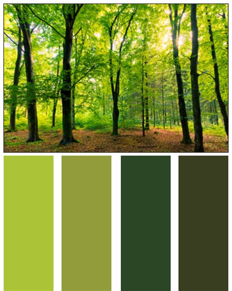 Home Design Ideas Nature S Color Palette Homes By Tradition Earth