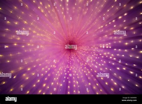 Purple Starburst Holiday Decoration Stock Photo Alamy