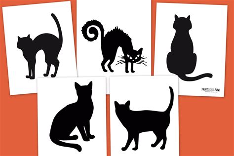 Black Cat Pumpkin Carving Stencils 5 Cats For Halloween At
