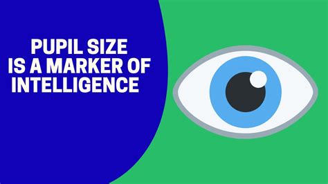Pupil Size Is A Marker Of Intelligence Youtube