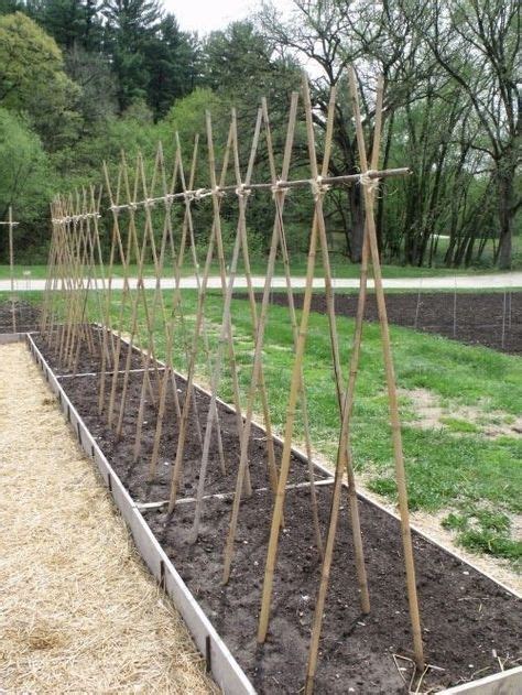 The Best Trellis Designs Organicgardening Bamboo Garden Garden