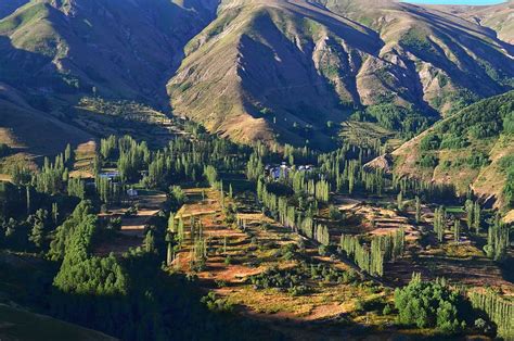 Green Forest Near Mountains During Daytime Turkey Nature Landscape