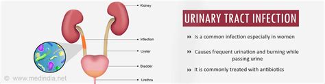 Also keep in mind that even the egyptions were eating slightly molding bread when sick at times. How to Prevent Urinary Tract Infection Recurrence Without Antibiotics