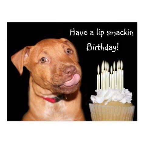 Pitbull Puppy Birthday Postcard Dog Lovers Birthday Puppy Birthday