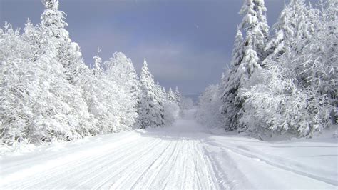 Tis The Season 9 Outdoor Activities For A Wonderful Winter In