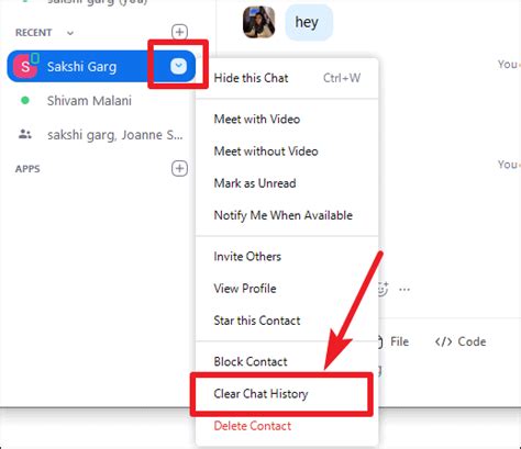 25 Zoom Chat Tips And Tricks To Become A Pro User All Things How