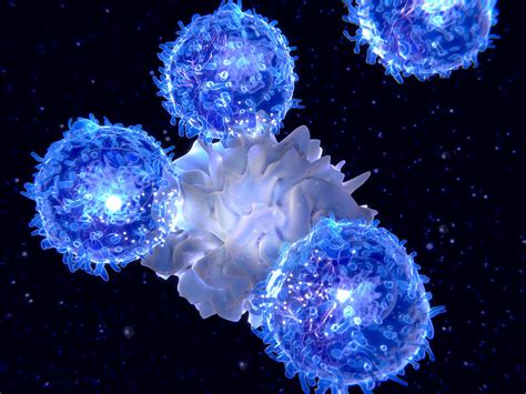 Dendritic Cell Presenting An Antigen Photograph By Juan Gaertner Pixels