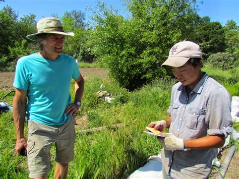 Seed Revolution Now!: Working Together To Build The California Seed Network