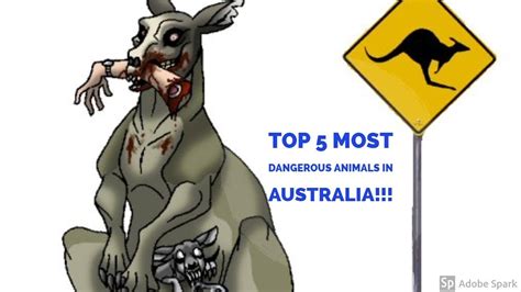 Top 5 Most Dangerous Animals In Australia Youtube