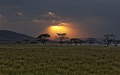 Sunset Africa Savanna Landscapes Sky Beams Rays Trees Wallpaper