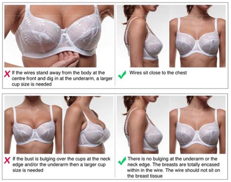 Not sure what cup size to wear? Are You Wearing The Right Bra Size?- Bra Fitting ...