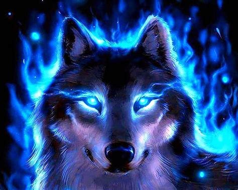 Ice Blue Wolf Wolf Pro Blue Wolves Hd Wallpaper Pxfuel