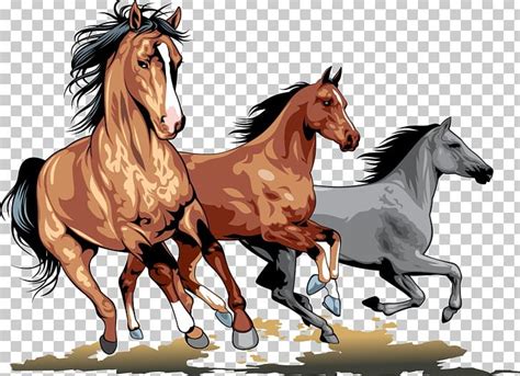 Wild Horse Png Clipart Animal Animals Bridle Clip Art Colt Free