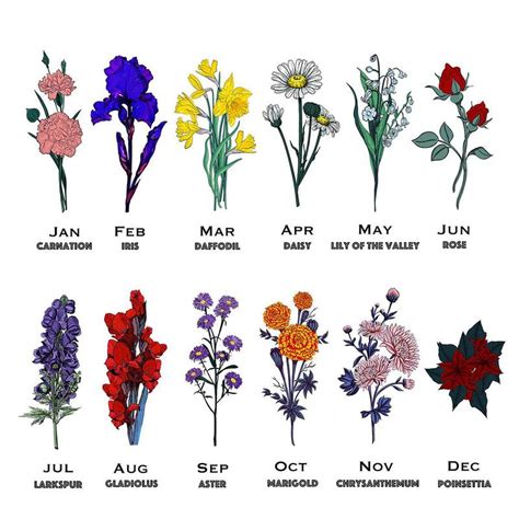 If you're looking for an extra thoughtful way to wish someone a happy birthday, check out our guide to every month's celebratory birth flowers to that personal touch. Personalised Birth Flower Blanket Scarf - Studio Hop