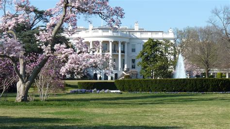 White House 4k Ultra Hd Wallpaper Background Image 3840x2160