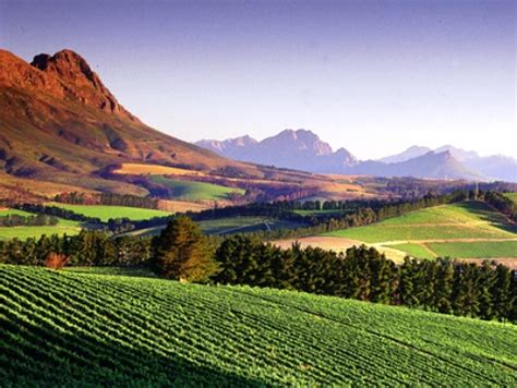 Stellenbosch Wine Route Top 10 Flightsite Blog