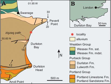 A Outline Geological Map Of Durlston Bay And The Southern Part Of