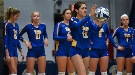 Pitt Womens College Volleyball Ranked Second In Nation Highest In Program History Avonews Online