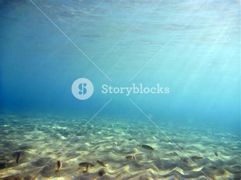 Underwater Royalty Free Stock Image Storyblocks