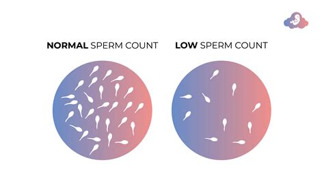 how to improve low sperm count fertility cloud