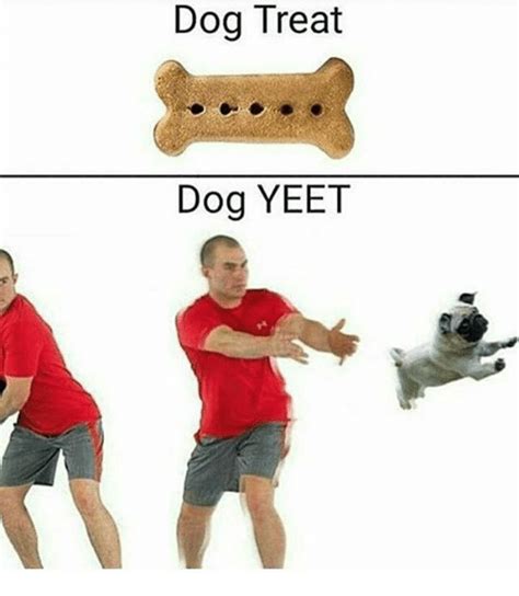 Dog Treat Dog Yeet Meme On Meme
