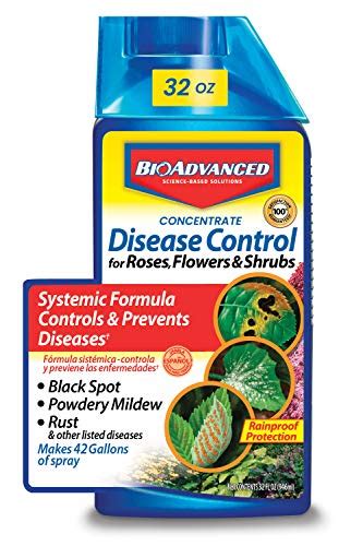 Top 20 Best Fungicide For Blackspot On Roses Reviews 2022 Licorize