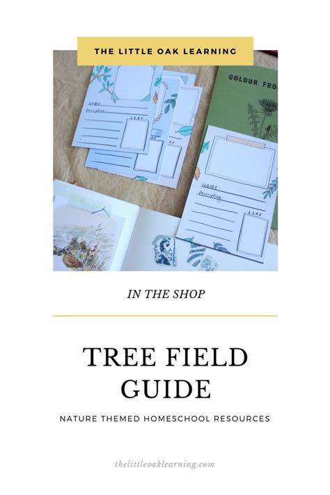 The Tree Field Guide Homeschool Resource In 2020 Field Guide