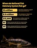 Where do National Fish Hatchery System fish go? Infographic | FWS.gov