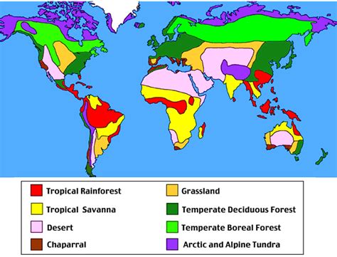Rainforests typically receive over 2000mm of rain each year. Animals and world map - Tropical Rainforests