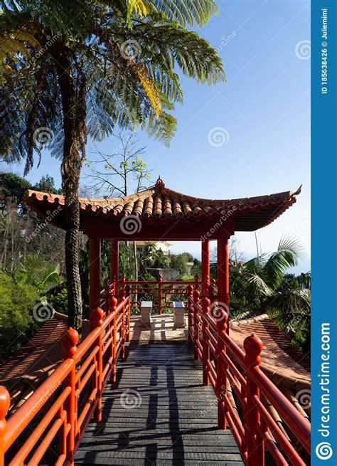 Chinese Pavilion And Bridge Surrounded By Wild Nature Palm Tree And