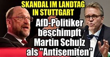 Skandal im Stuttgarter Landtag: AfD-Politiker beschimpft Martin Schulz ...