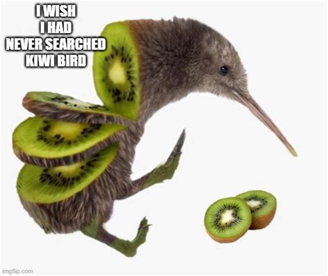 Kiwi Birds Are Kiwis In Disguise Imgflip