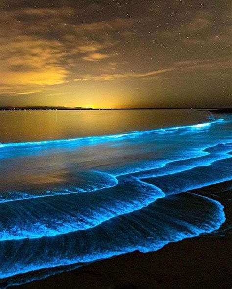 Images Of The Milky Seas Phenomenon Free The Ocean