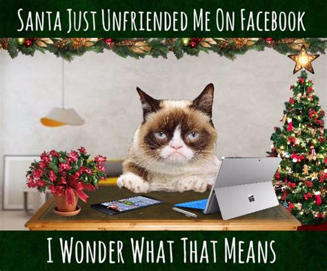 Grumpy Cat Christmas 🎄 Grumpy Cat Cat Quotes Funny Grumpy Cat Christmas