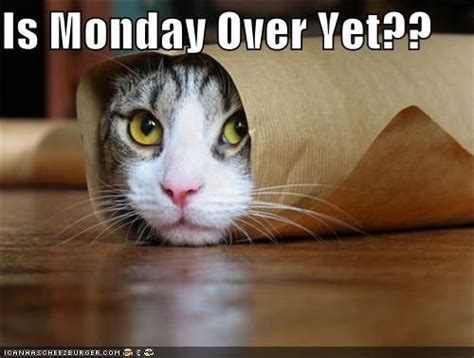 Is Monday Over Yet Quotes Quote Days Of The Week Monday Quotes Happy