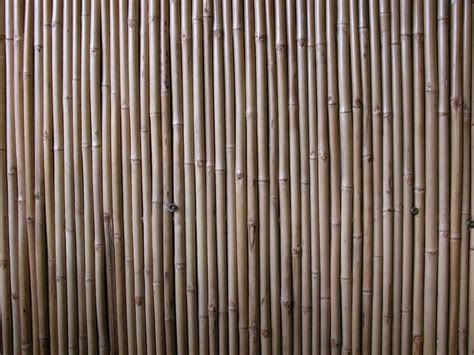 Bamboo Panel Bamboo Texture Bamboo Panels Bamboo