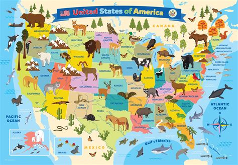 Map Of The United States Fun Map Of The United States