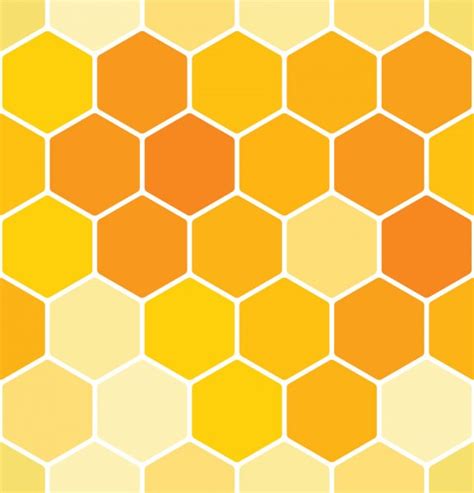 Honeycomb Drawing Stock Vectors Royalty Free Honeycomb Drawing
