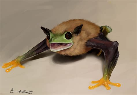 Frog Bat By Brooklyn Smith Rimaginaryhybrids