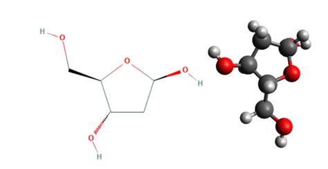 Carbohidratos La Estructura Química De Las Moléculas Y Su Importancia