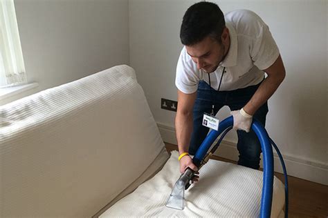 Professional Upholstery Cleaning Services The Ultimate Guide