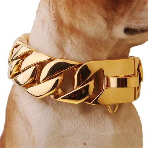 Big Gold Chain Cuban Link Style 32mm Dog Collar Barking Bullies