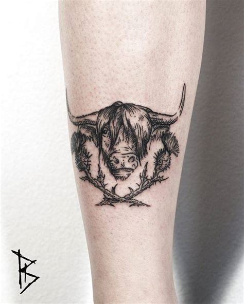 Highland Cattle Tattoo