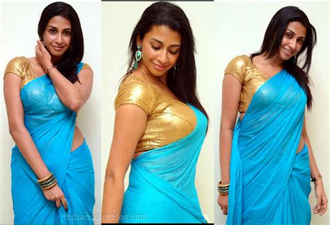 Gayathri Iyer Kannada Actress Photos In Saree