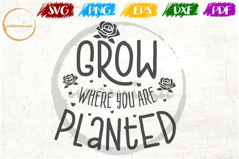 Grow Where You Are Planted Inspirational Quote Art Svg