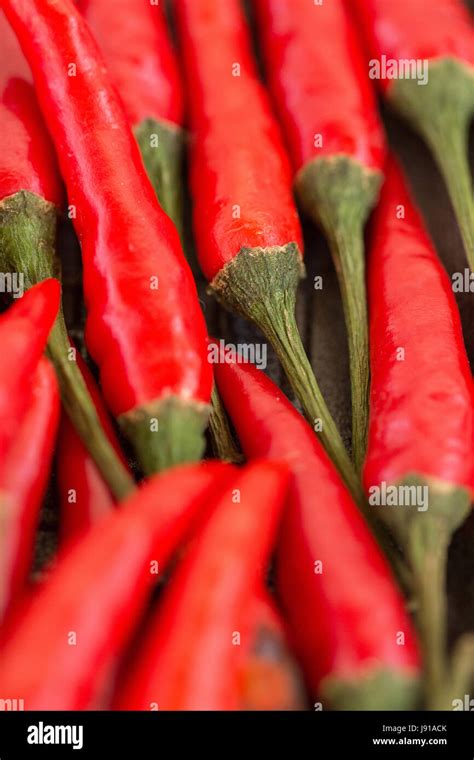 Red Hot Chili Peppers Popular Spices Concept Colorful Macro Of Red