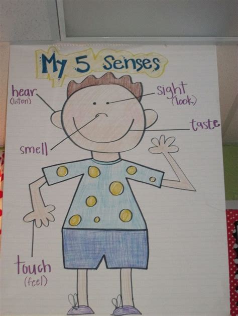 5 Senses Anchor Chart Seeing And Identifying Senses Parts