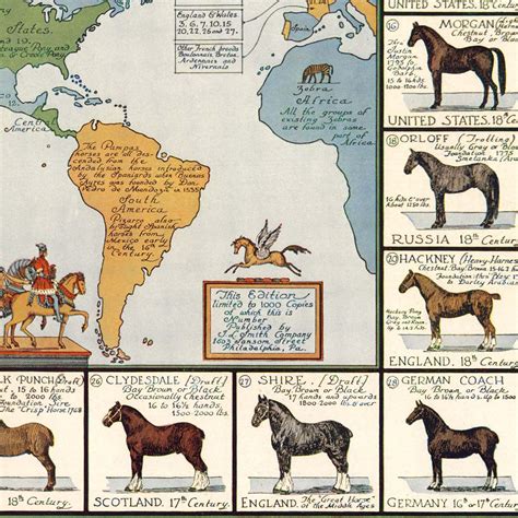 Horses Of The World Map Art Poster