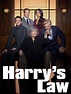 Harry's Law - Full Cast & Crew - TV Guide